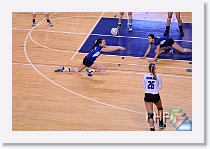 Set 1 * (228 Slides)